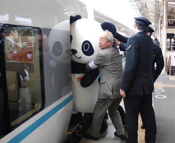 あなたが目撃した決定的瞬間!!