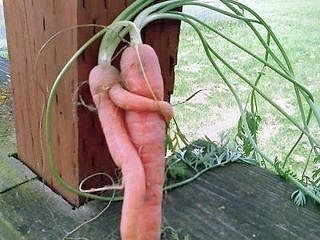 ハグしてる画像ください!