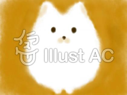 睫毛をつけたポメラニアンが可愛いと話題に