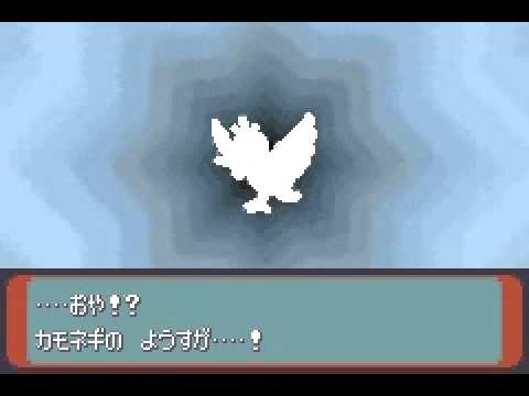 漫画・本で初めて知ったこと