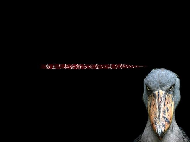 小動物が好きな方
