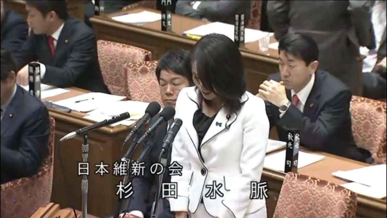杉田水脈（維新） 衆議院 予算委員会 2014年2月3日 - YouTube