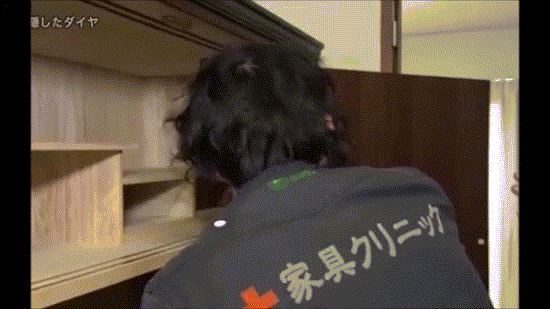 探偵ナイトスクープで心霊映像かと話題に