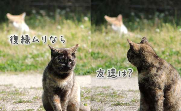 元彼と友達になれますか？