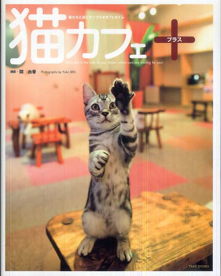 オススメのカフェありますか？
