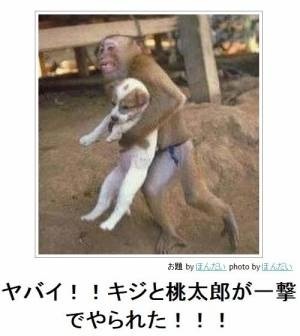 あなたが一番好きな画像
