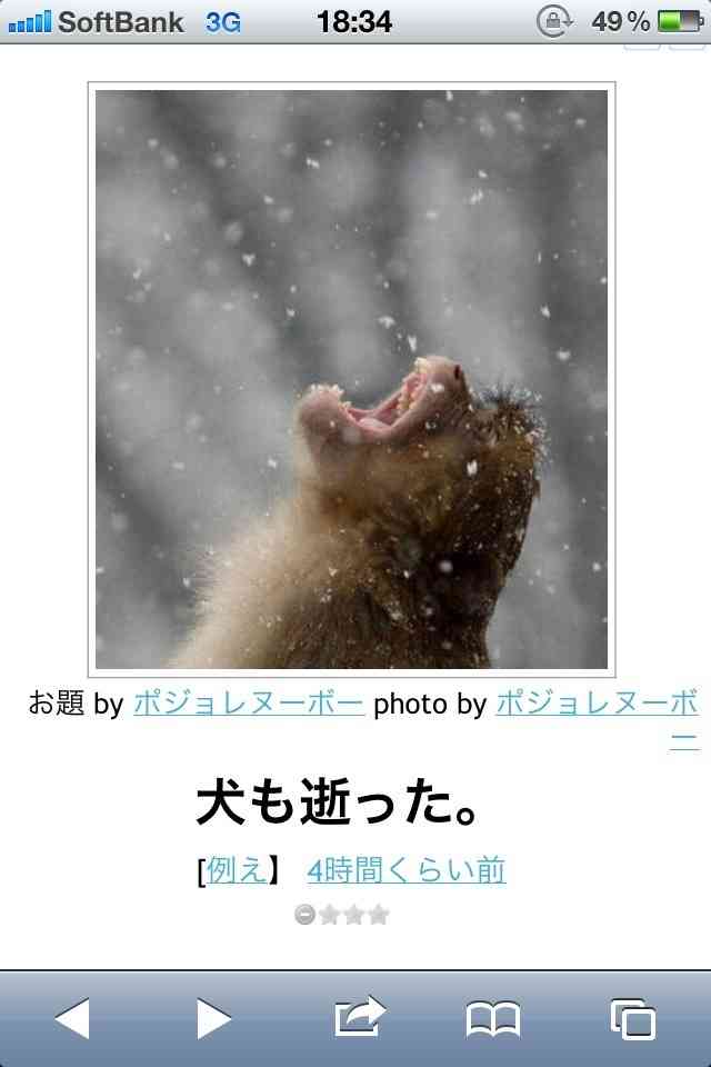 あなたが一番好きな画像
