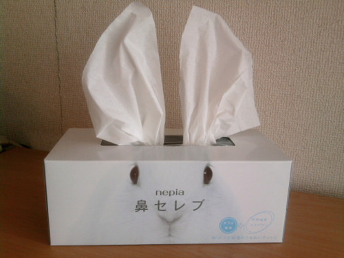 花粉症あるある