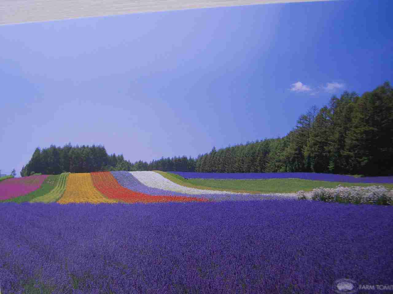 みなさん、今週もお疲れ様です。イケメン画像で目の回復を。