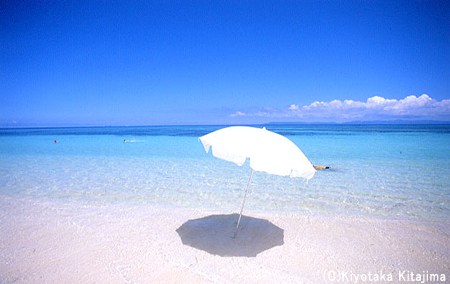 みなさん、今週もお疲れ様です。イケメン画像で目の回復を。