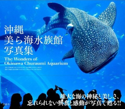 思いのほか面白かった所