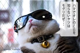 やけくそな気分の時にピッタリな曲