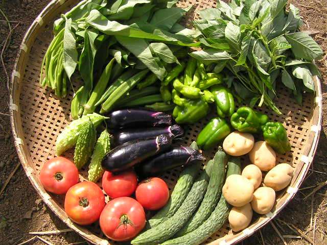 「食」に対して欲望ありますか？