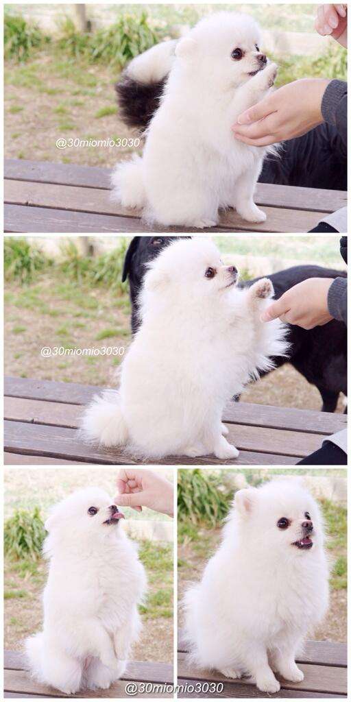 【進撃の巨人】