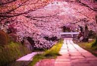 心が洗われるような画像ください