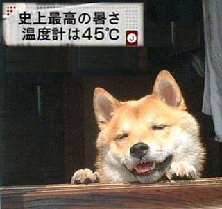 あなたが一番好きな画像