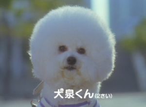 ペット   何か飼ってますか？