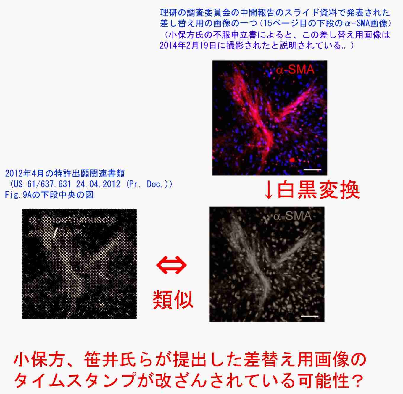 小保方晴子のSTAP細胞論文の疑惑: 4月 2014
