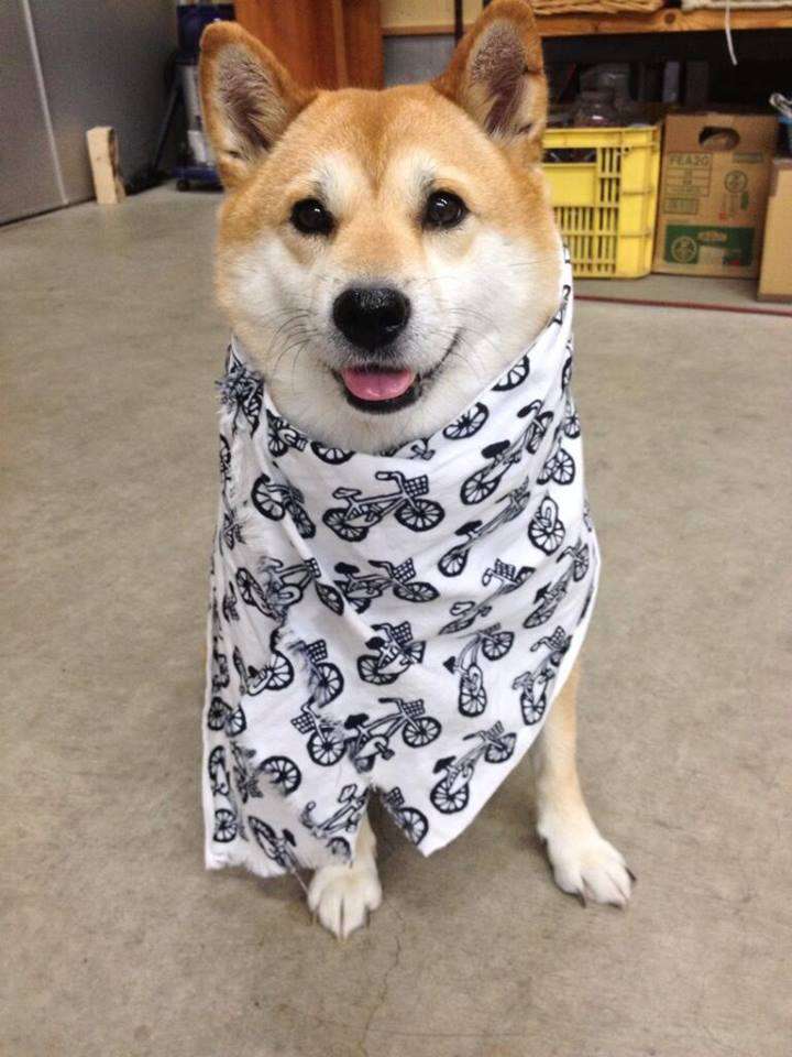 華の金曜日！！(死語)