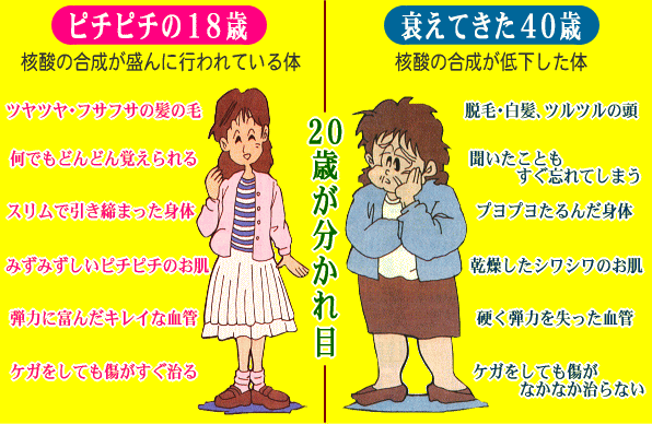 老化とまでは言わないけど衰えを感じたとき