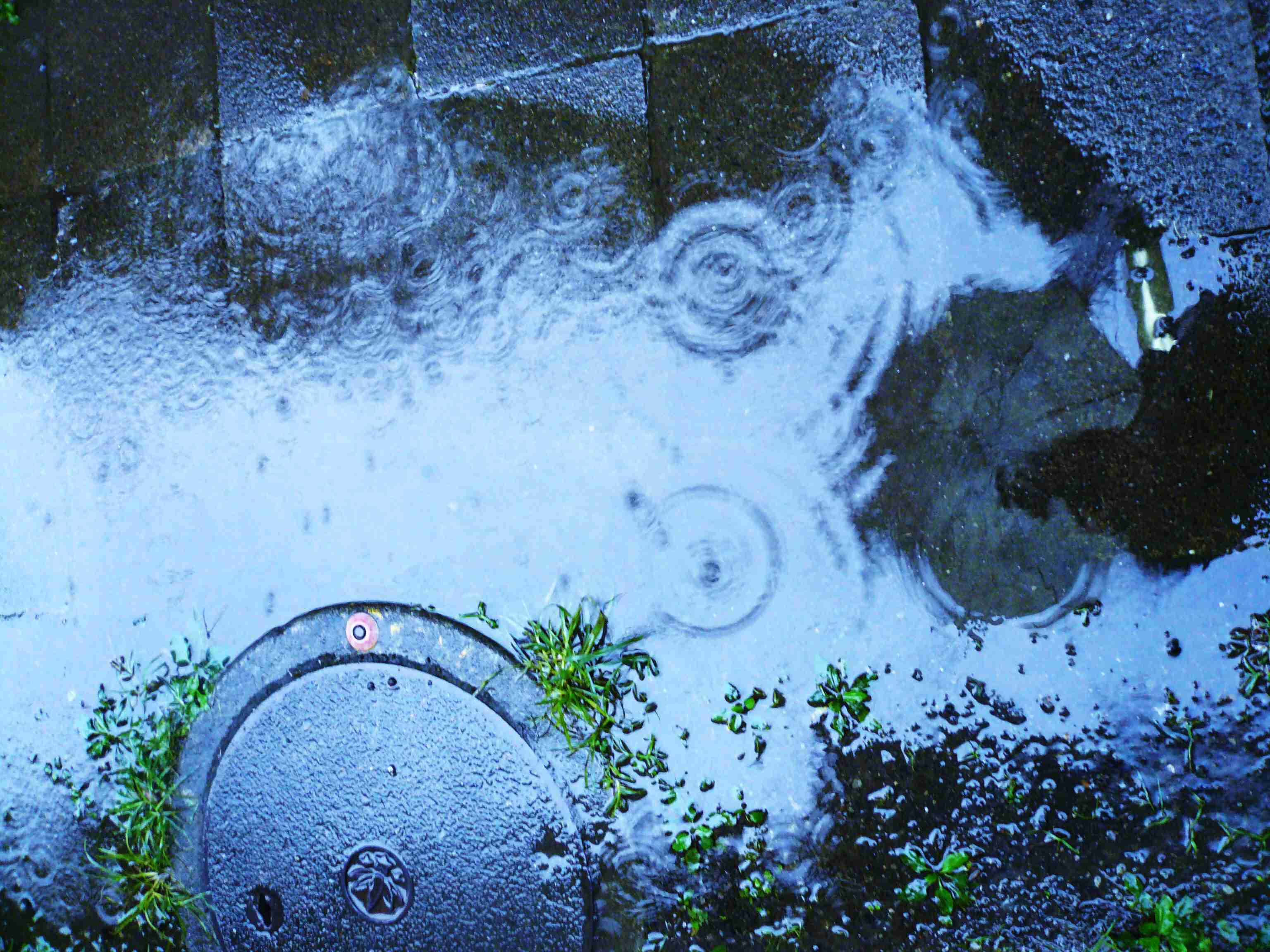雨の休日何しますか