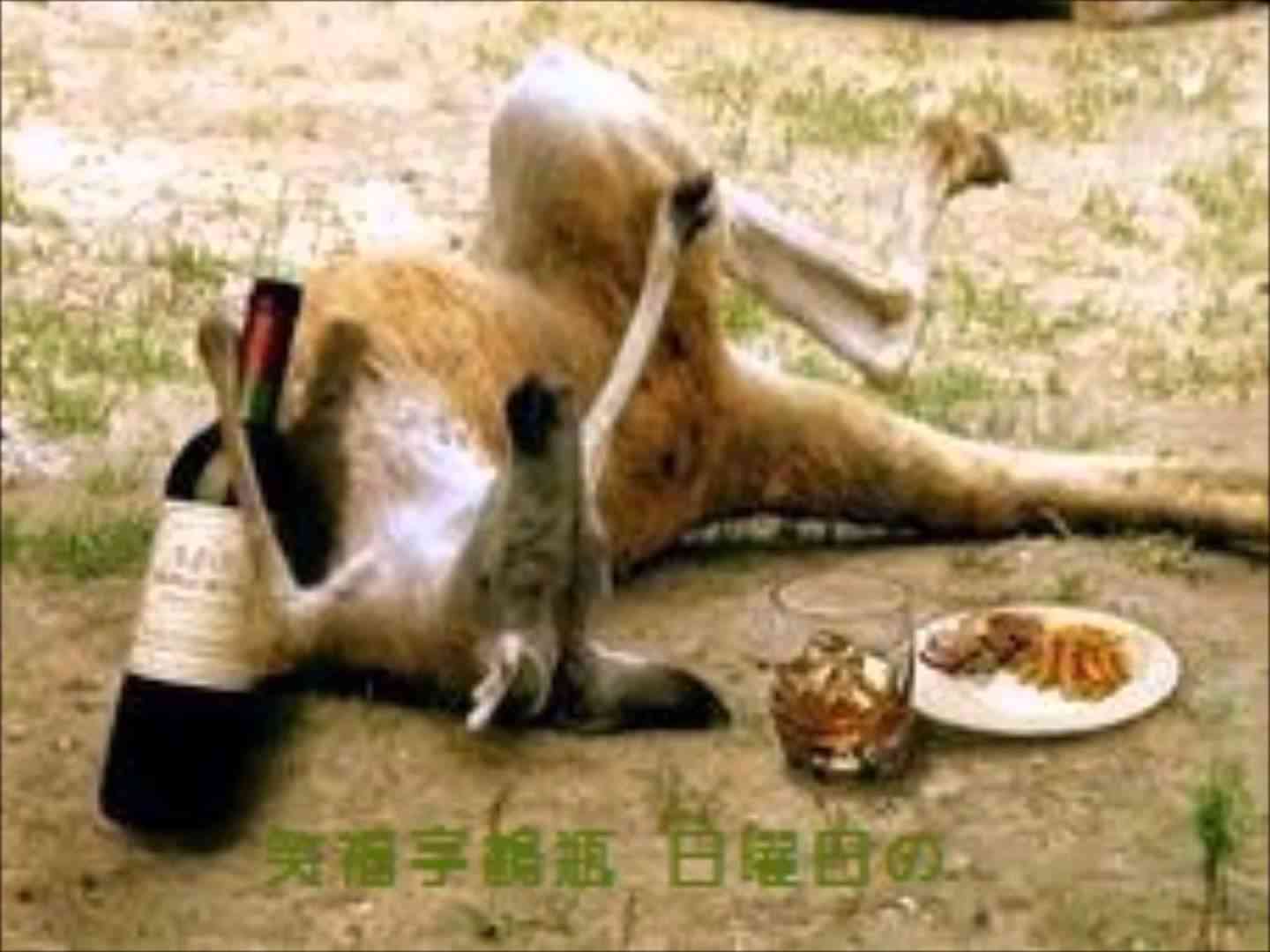 笑福亭鶴瓶　と　三浦友和 - YouTube