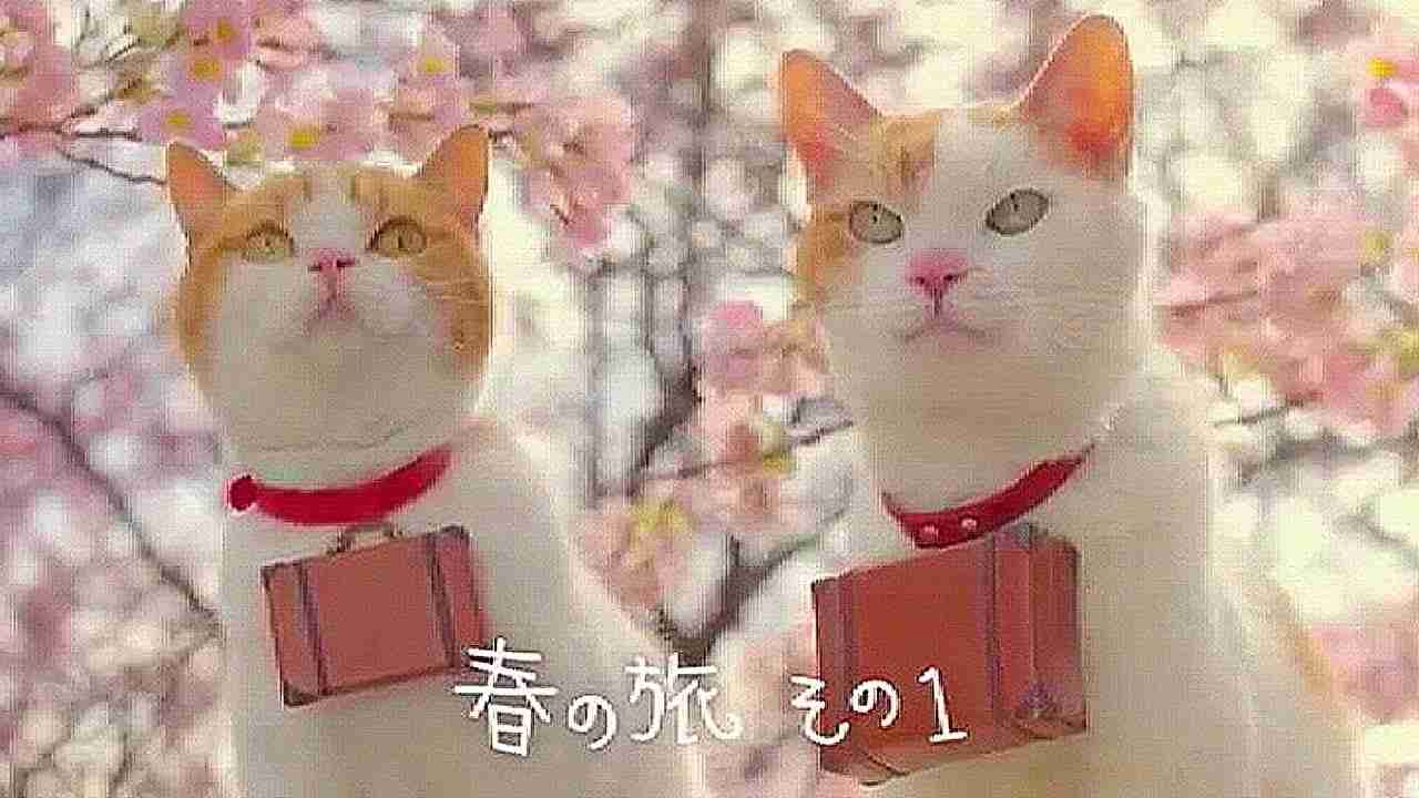 いいなCM　リクルート　じゃらん　にゃらん　2014 師匠と弟子の春の旅 - YouTube