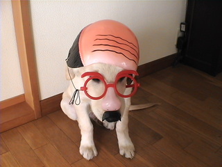 結婚予定ナシの女性限定!服は「胸元の開いたインナーのみ可」の”一般事務”など酷すぎる求人募集が話題に