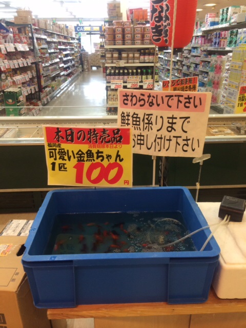 近所のスーパーで売られている珍しいもの