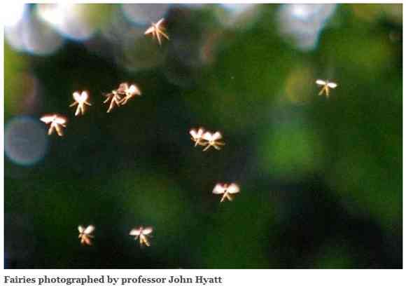 【マジかよ】英国大学講師が「妖精を撮影した」と主張！ ネット上に公開して議論に発展 | ロケットニュース24