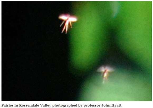 【妖精画像あり】英国大学講師が「妖精を撮影した」と主張!ネットに公開して議論に発展