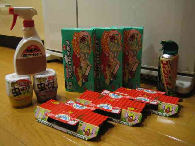 Gが出た〜〜!! 叫んでもひとり...そんな時のゴキブリ対処法とは？