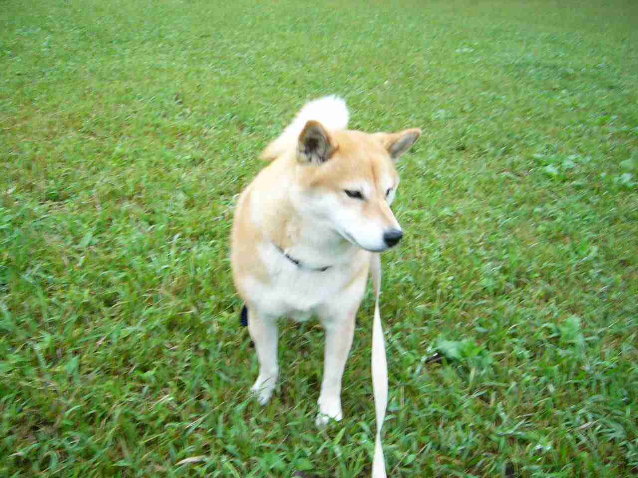 結婚予定ナシの女性限定!服は「胸元の開いたインナーのみ可」の”一般事務”など酷すぎる求人募集が話題に