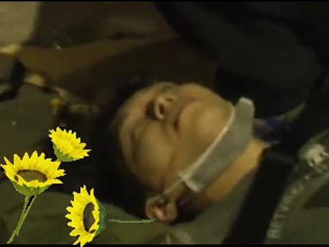 台湾学生立法院占拠★日本のマスコミが報道しない映像！ - YouTube