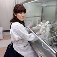 【ＳＴＡＰ細胞】無断引用の疑い　別論文の記述と酷似 - NAVER まとめ