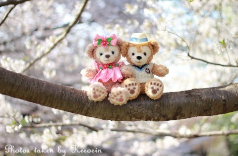 ディズニーで今の時期しか見れない桜を使ったアートがヤバイ!!