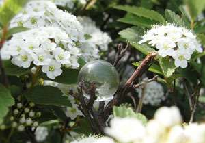 なぜ、生きづらいのか、ありのままの自分で生きられない理由