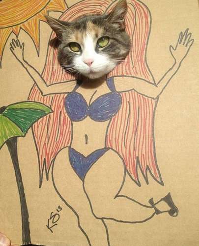 猫でダンボールの「顔ハメ看板」遊びをしたらかわいすぎる件w