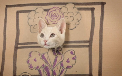 猫でダンボールの「顔ハメ看板」遊びをしたらかわいすぎる件w