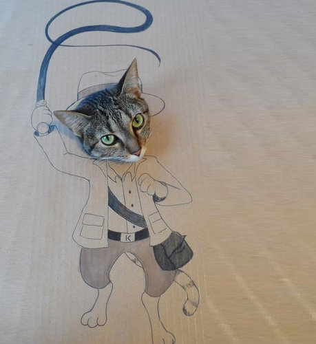 猫でダンボールの「顔ハメ看板」遊びをしたらかわいすぎる件w