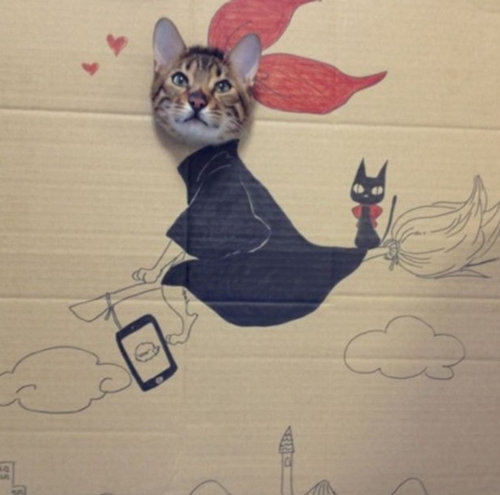 猫でダンボールの「顔ハメ看板」遊びをしたらかわいすぎる件w