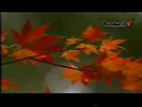 KOKIA 調和-oto- 　a cappella - YouTube