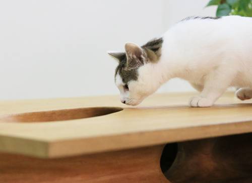 にゃんこと一緒に使うテーブル、内部に“遊べる”穴や通路