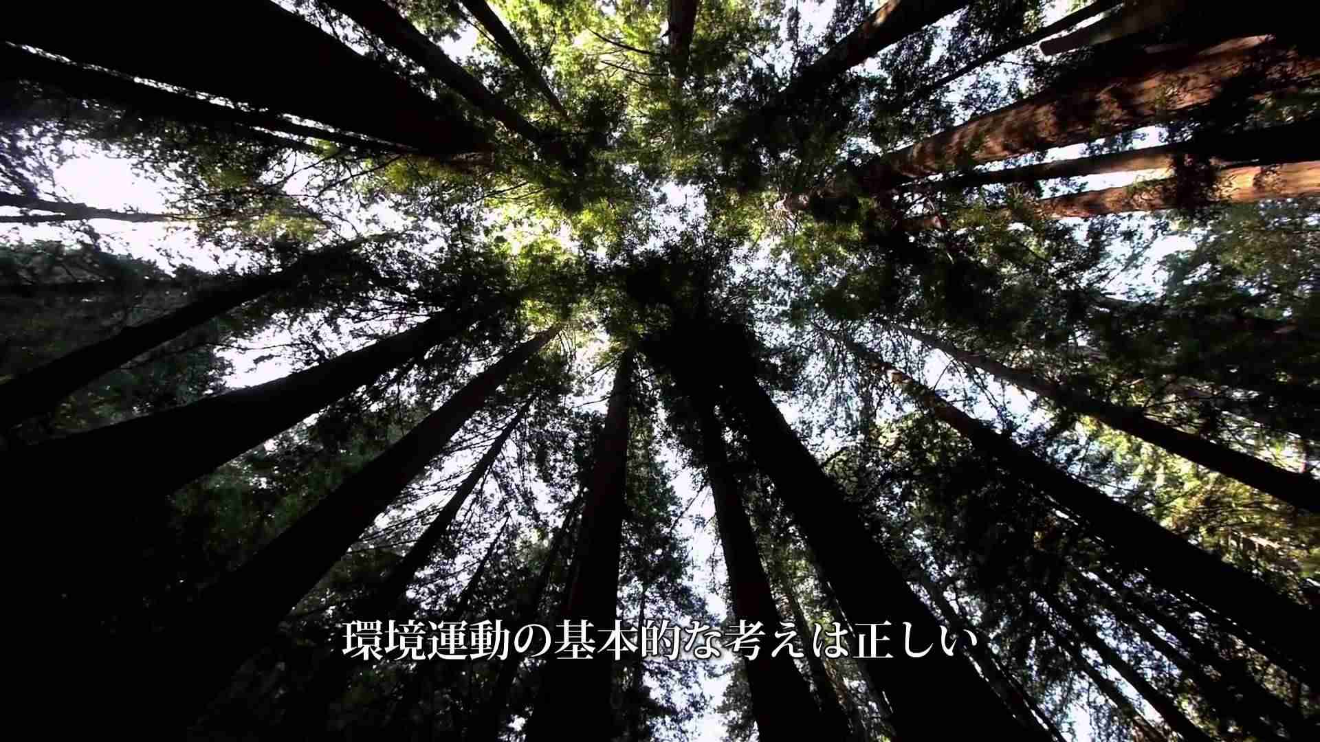 パンドラの約束　予告編 - YouTube