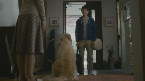 つい手を止めて見てしまうCM