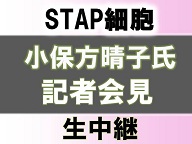 小保方晴子氏 記者会見 生中継＜STAP細胞・最終報告書に対する不服申し立て＞ - 2014/04/09 13:00開始 - ニコニコ生放送