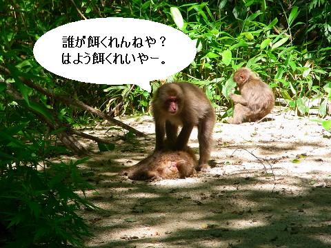 この人図々しいな…と思う時