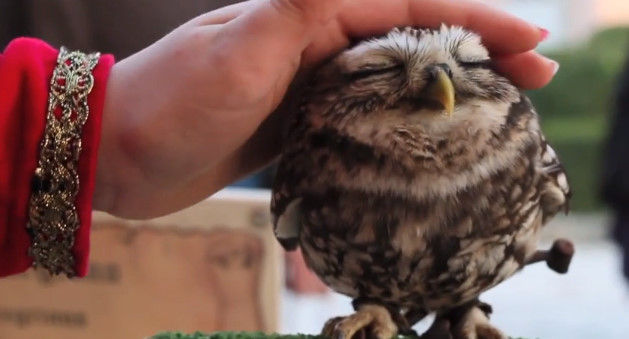 あらゆる物のアップの画像を貼るトピ！