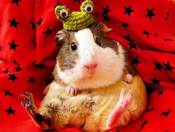 ガルちゃん民女子会