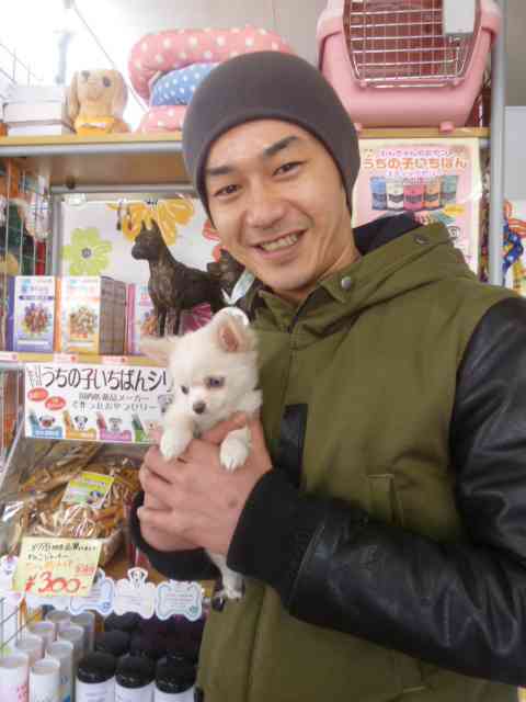 好きな芸能人の私的「最強」の画像を貼るトピ